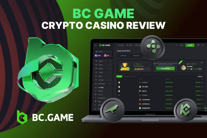 Explore Everything in the BC.Game A Comprehensive Guide -300880072 Explore Everything in the BC.Game A Comprehensive Guide -300880072